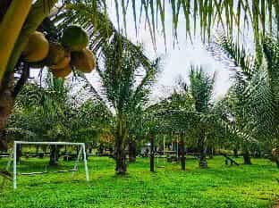 Suan Lung Chaan Thai Homestay Suan Lung Chaan Thai Homestay