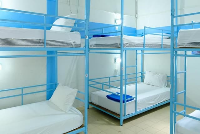 Bed in 8-Bed Mixed Dormitory Room