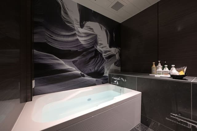 Deluxe Double Room (Queen Room)