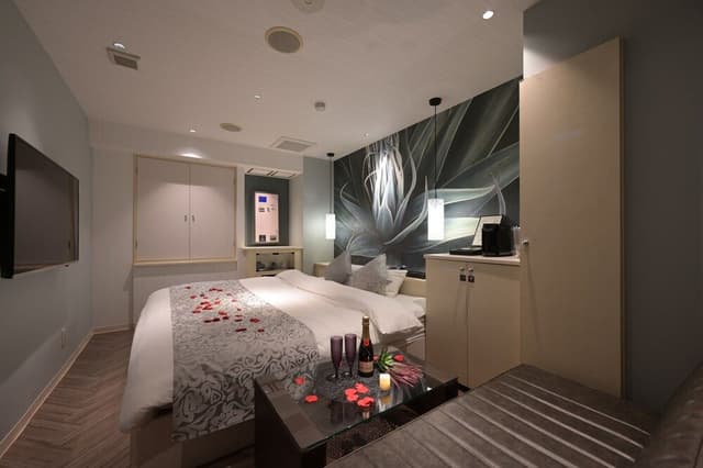 Basic Double Room