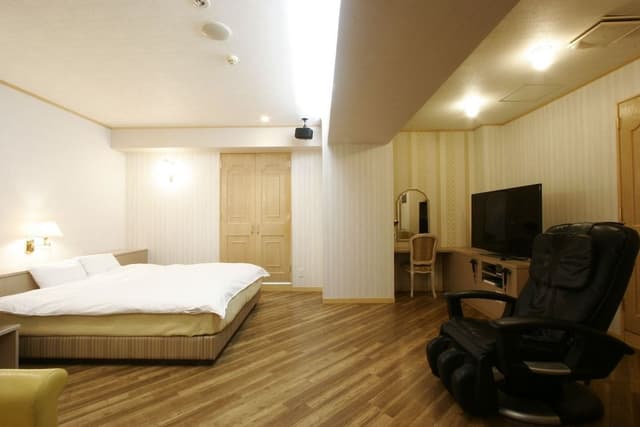 Business Double Room Single Use (B2)