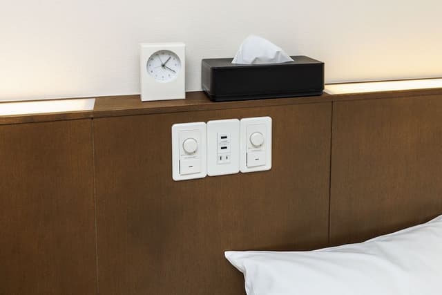 Basic Twin Room