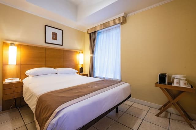 Standard Double Room Non Smoking (18.4 sqm)