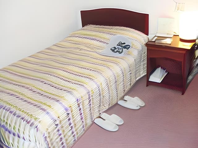Single Room - Smoking