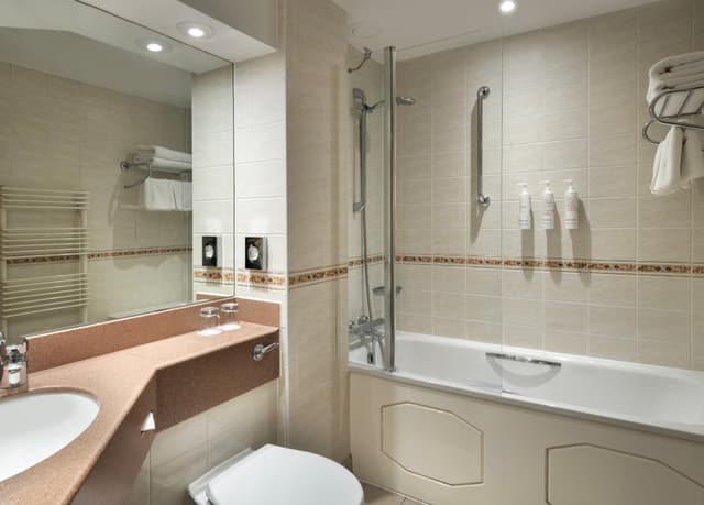 Deluxe Room, Guest room, 1 King