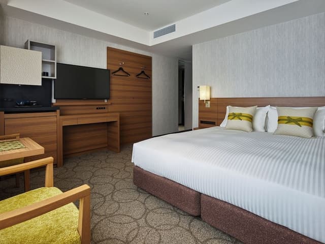 Accessible , 1 bed Double, Non Smoking