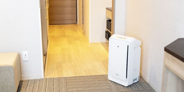 Double Room, Accessible
