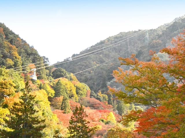 Deluxe Room with Tatami Area and Open-air Bath-D