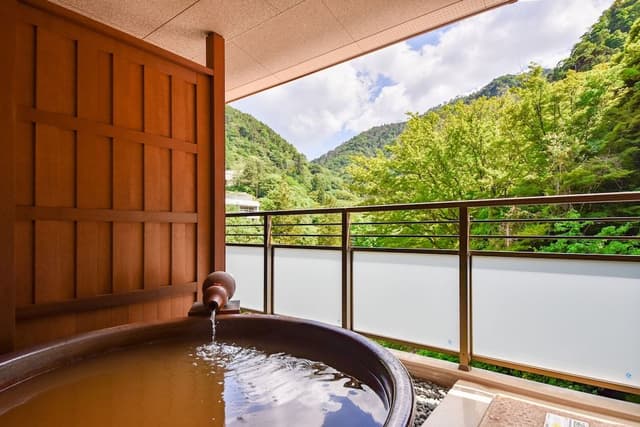 Deluxe Room with Tatami Area and Open-air Bath-D