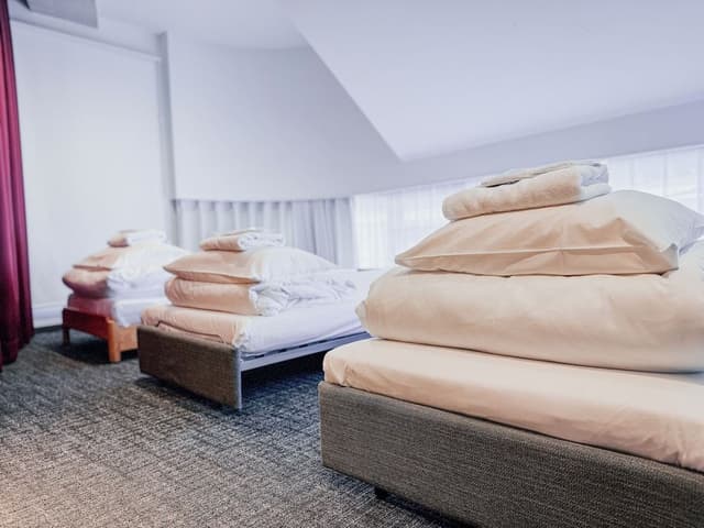 Person mixed dormitory room (Female and male shared) (Shared toilet and shower)