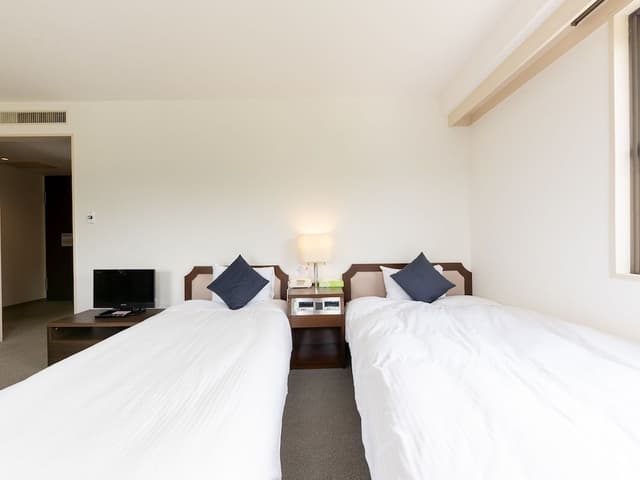 Deluxe Twin Room, Non Smoking