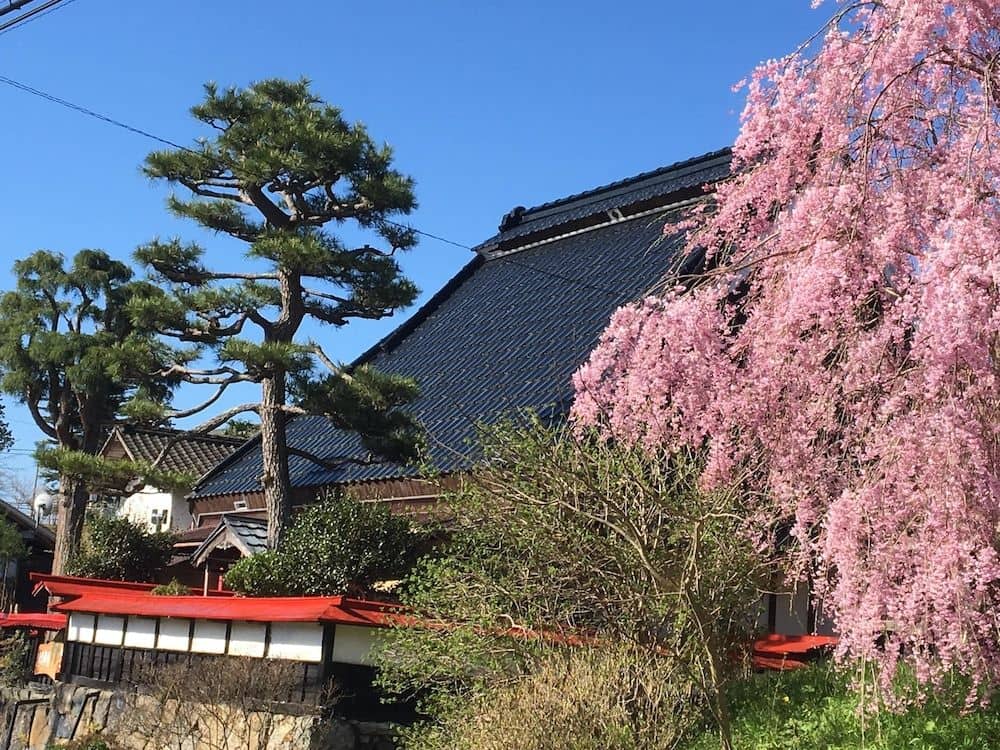 Tokuheian Hinoki Tokuheian Hinoki
