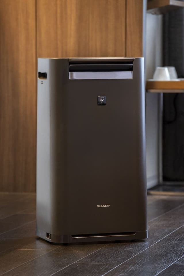 High Floor Premier Twin