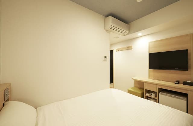 Double Room Single Use, Non Smoking