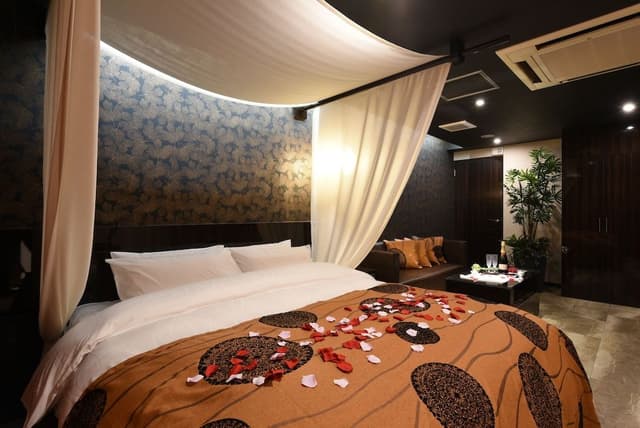 Basic Double Room