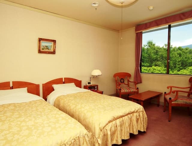 Twin Room