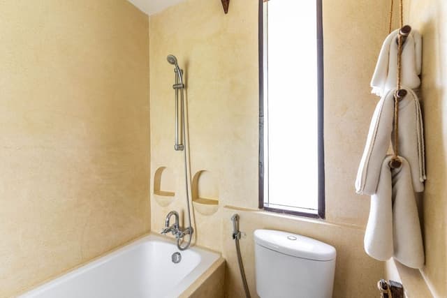 AANA Deluxe Double or Twin Room