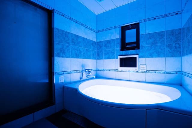 Double Room with Tatami Area