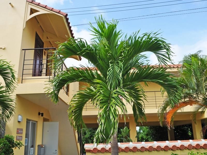 แพนชั่น ซันเซ็ต บีช (Pension Sunset Beach)4