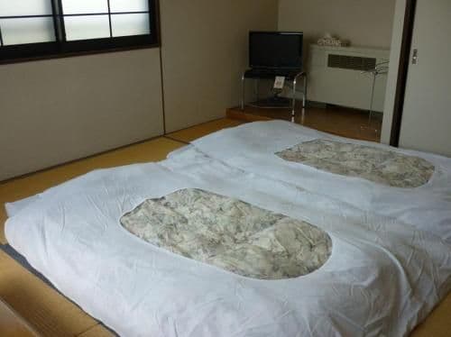 Japanese Style With Private Bath