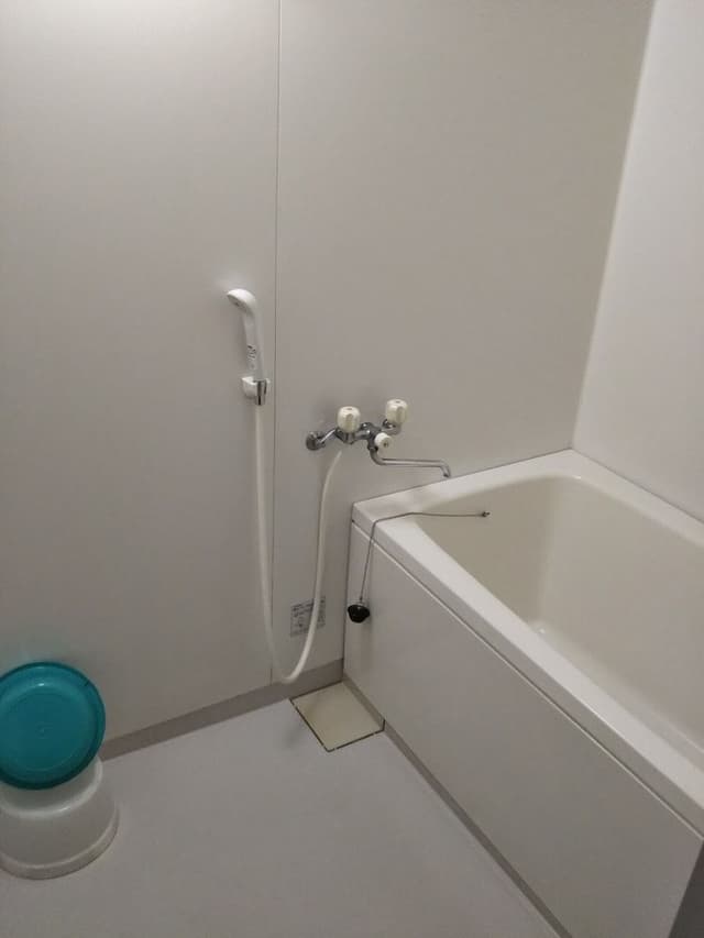 Japanese Style Room