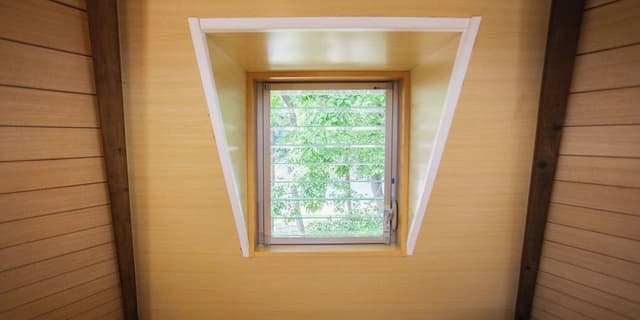 Tree shaped house, Twin Room