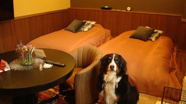 Connecting Rooms without Bathroom - Non-Smoking