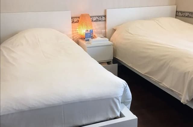 Deluxe Twin Room, Non Smoking