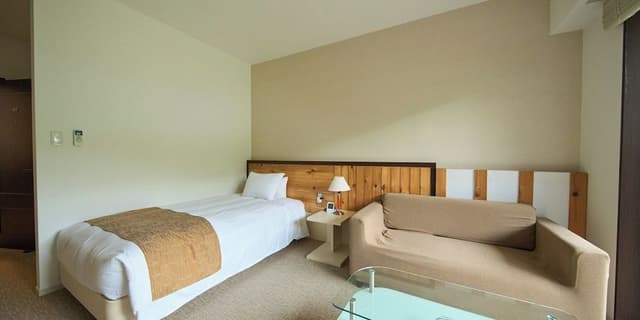 Deluxe Single Room, Non Smoking, Private Bathroom