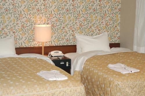 Deluxe Twin Room - Smoking