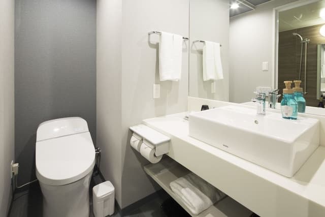 Standard Double Room, Smoking (For 1 Person)