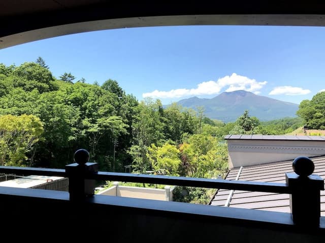 Deluxe Double Room, Non Smoking (Mt. Asama View)