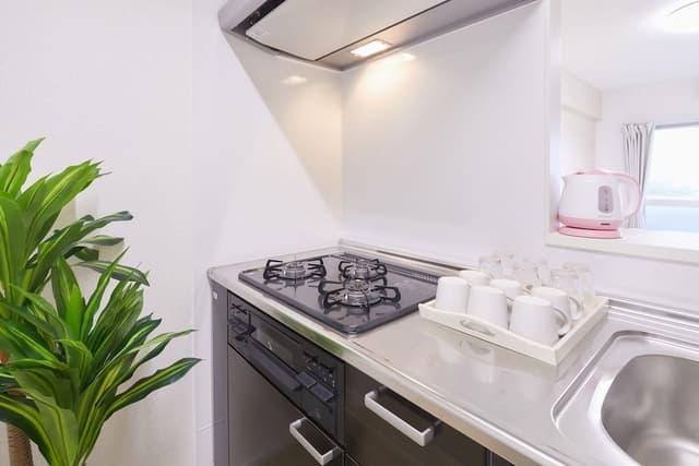 Superior Apartment, Non Smoking