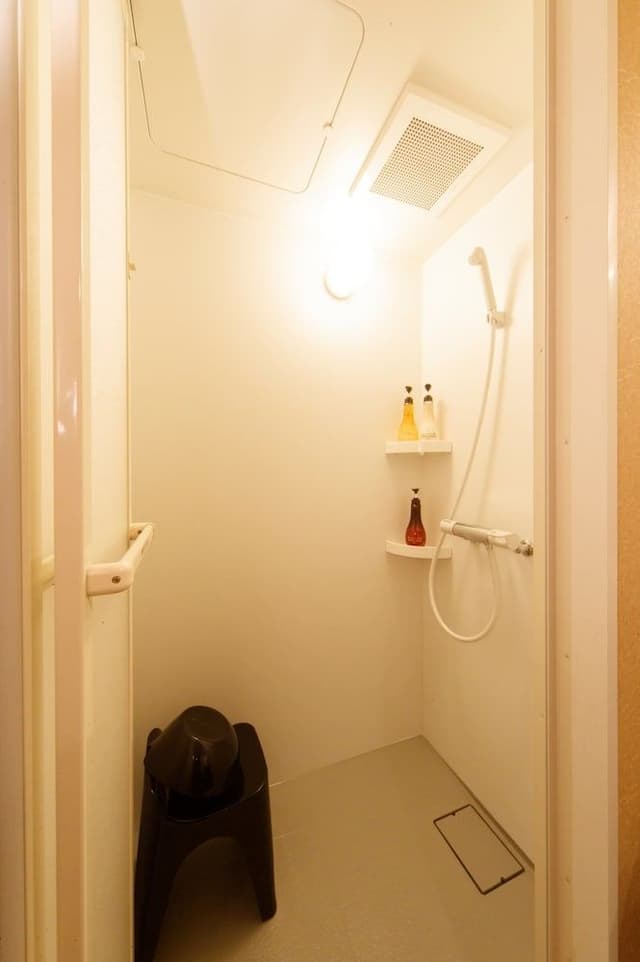 Superior Japanese Style Room, A