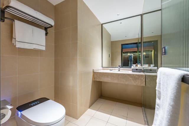 King Executive Room