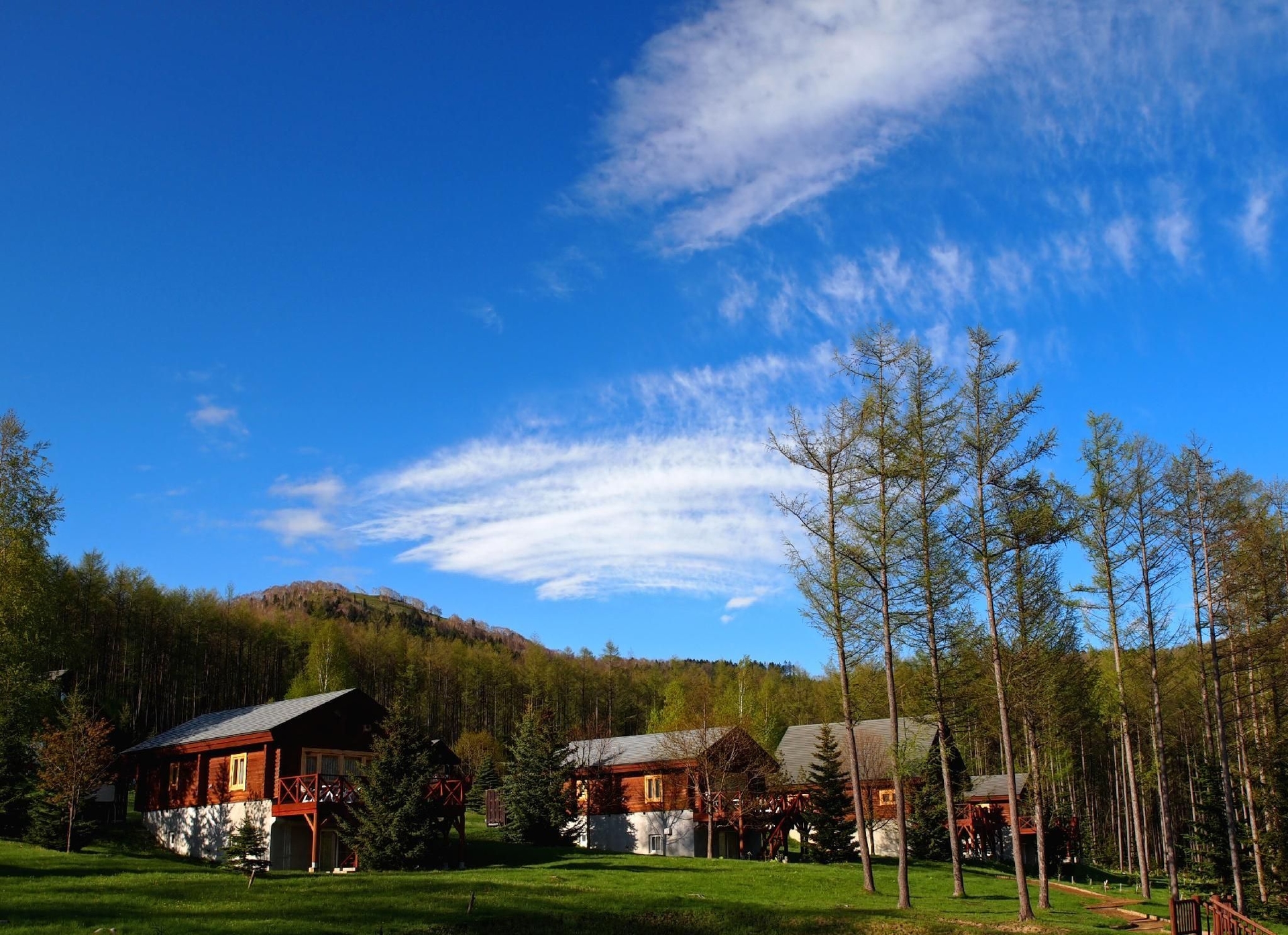 ล็อกโฮเทล ลาร์ช (LOGHOTEL LARCH)2