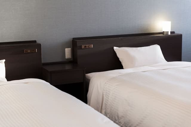 Deluxe Twin Room, Smoking