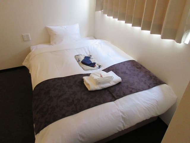 Western Style Single Room