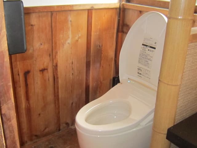 Executive Suite with Private Shower Room, Non Smoking