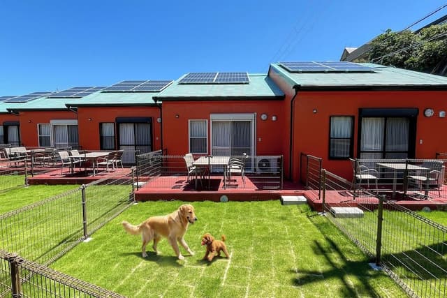 Cottage (2 people) with private dog run