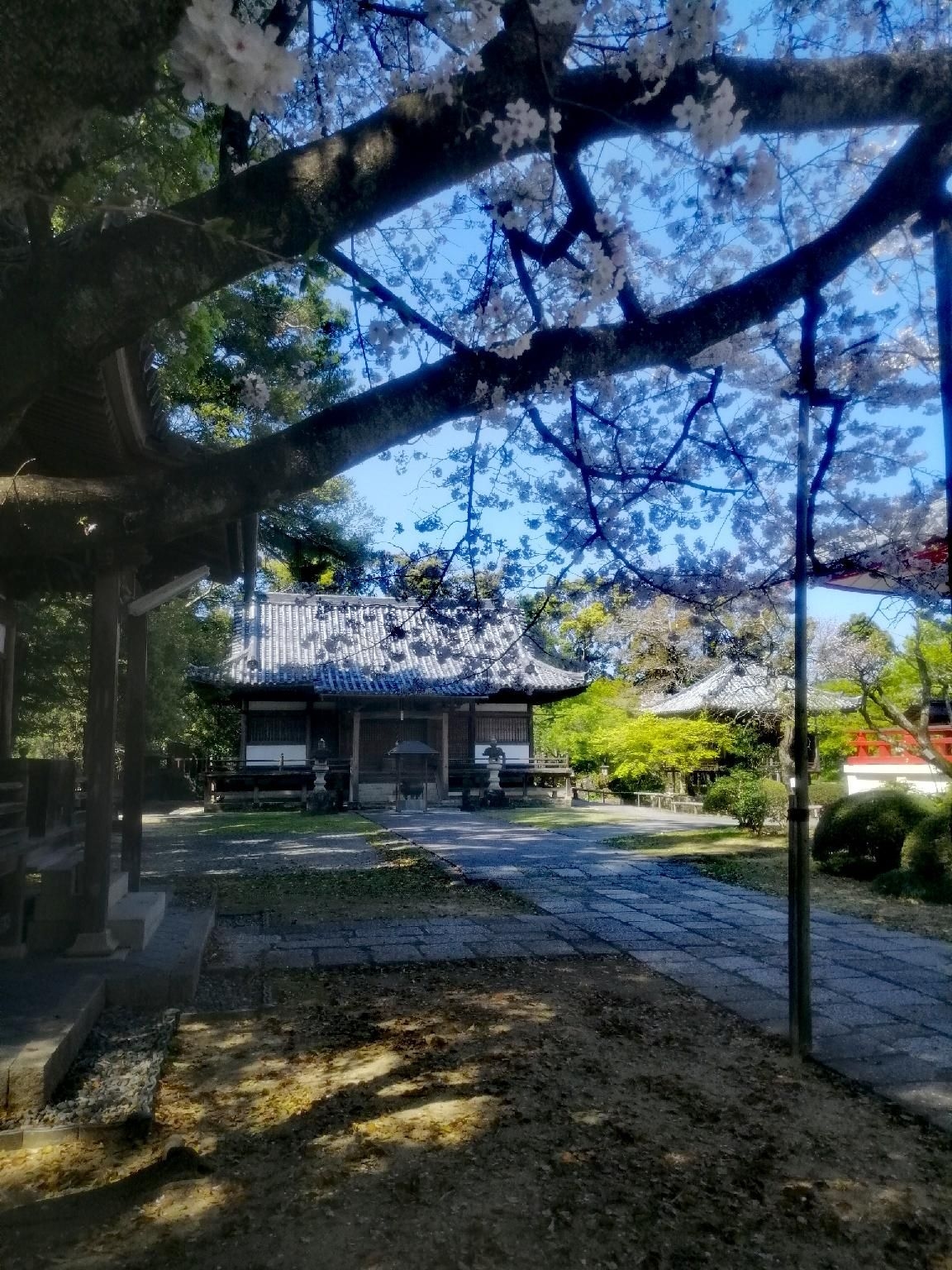 Kumano Kodo Nagano Guesthouse2