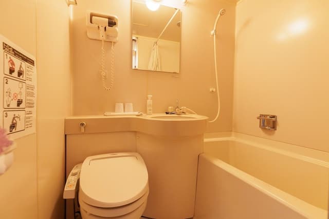Basic Twin Room