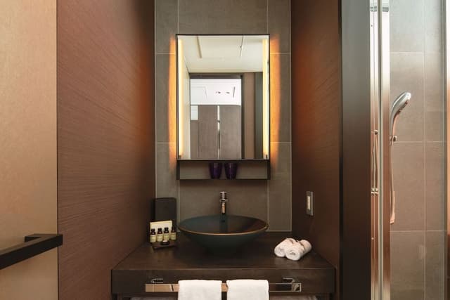 Superior Room, 1 King Bed, Executive Lounge Access (Executive)
