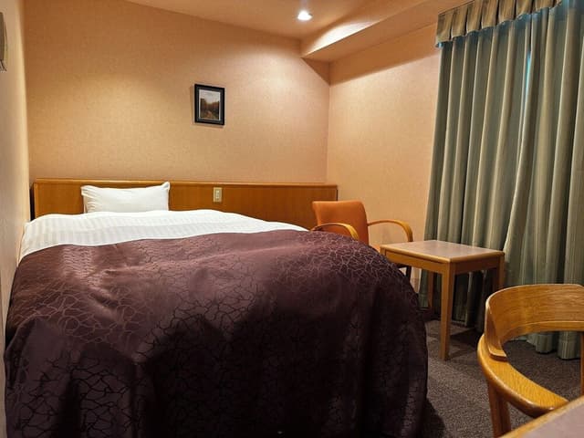 Deluxe Room, Non Smoking