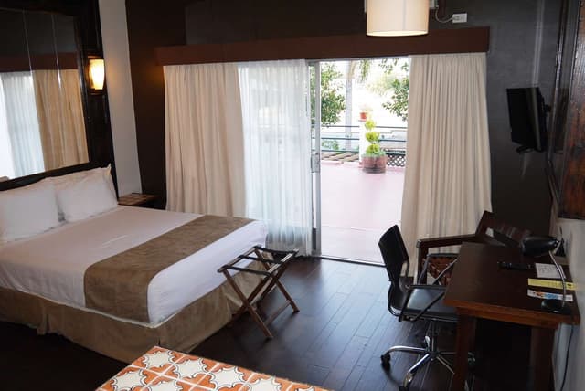 1 King Bed, Non-Smoking, Junior Suite, Hot Tub, Refrigerator