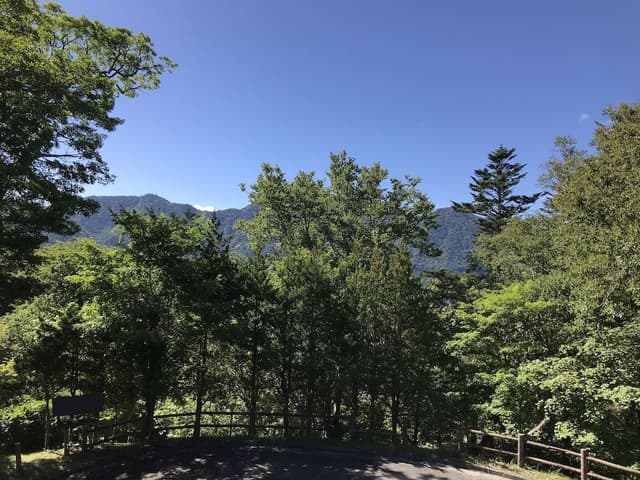 Japanese Style Room, Shared Bathroom, Mountain View