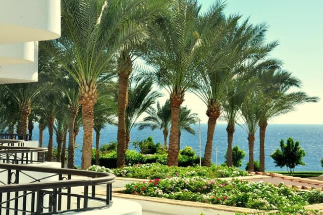 Superior, Queen or Twin Bed, Sea View