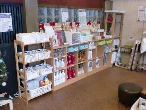 Twin Room - Non-Smoking