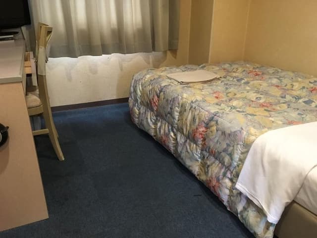 Basic Double Room, Smoking (Basic Double Room, Smoking)