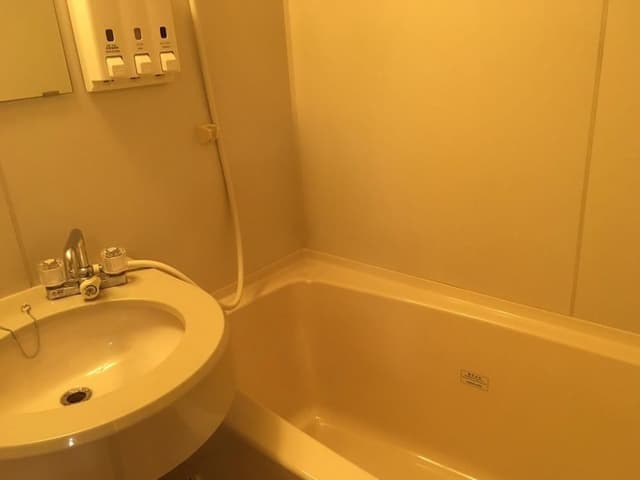 Basic Double Room, Smoking (Basic Double Room, Smoking)